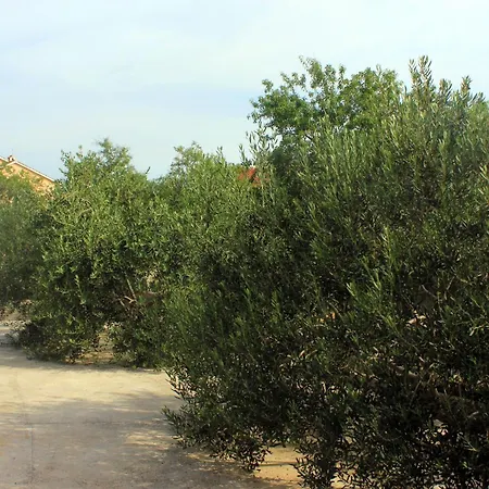 With A Parking Space Sali, Dugi Otok - 908 Апартаменты