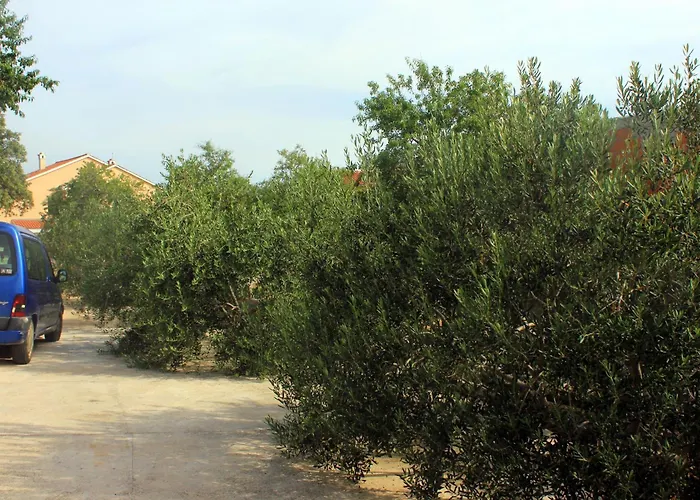 With A Parking Space Sali, Dugi Otok - 908 Apartment