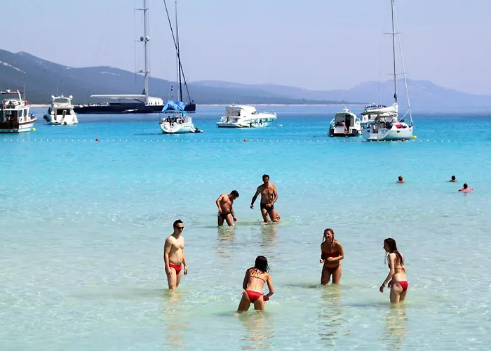 With A Parking Space Sali, Dugi Otok - 908 Sali